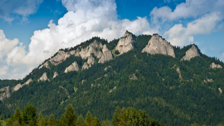 Trzy Korony Szlak 🏔️ Wybierz się na wędrówkę w malownicze Pieniny