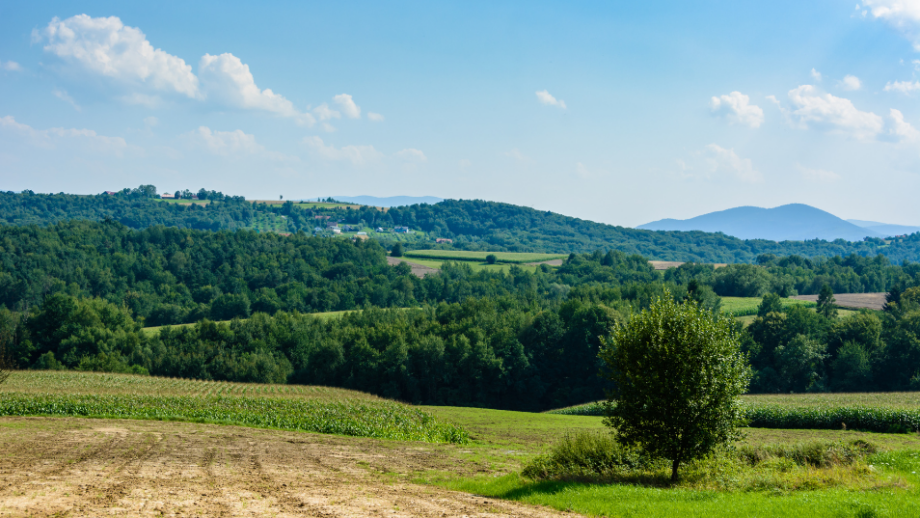 Kotlina Oświęcimska 🌿 Odkryj historię i piękno Małopolski