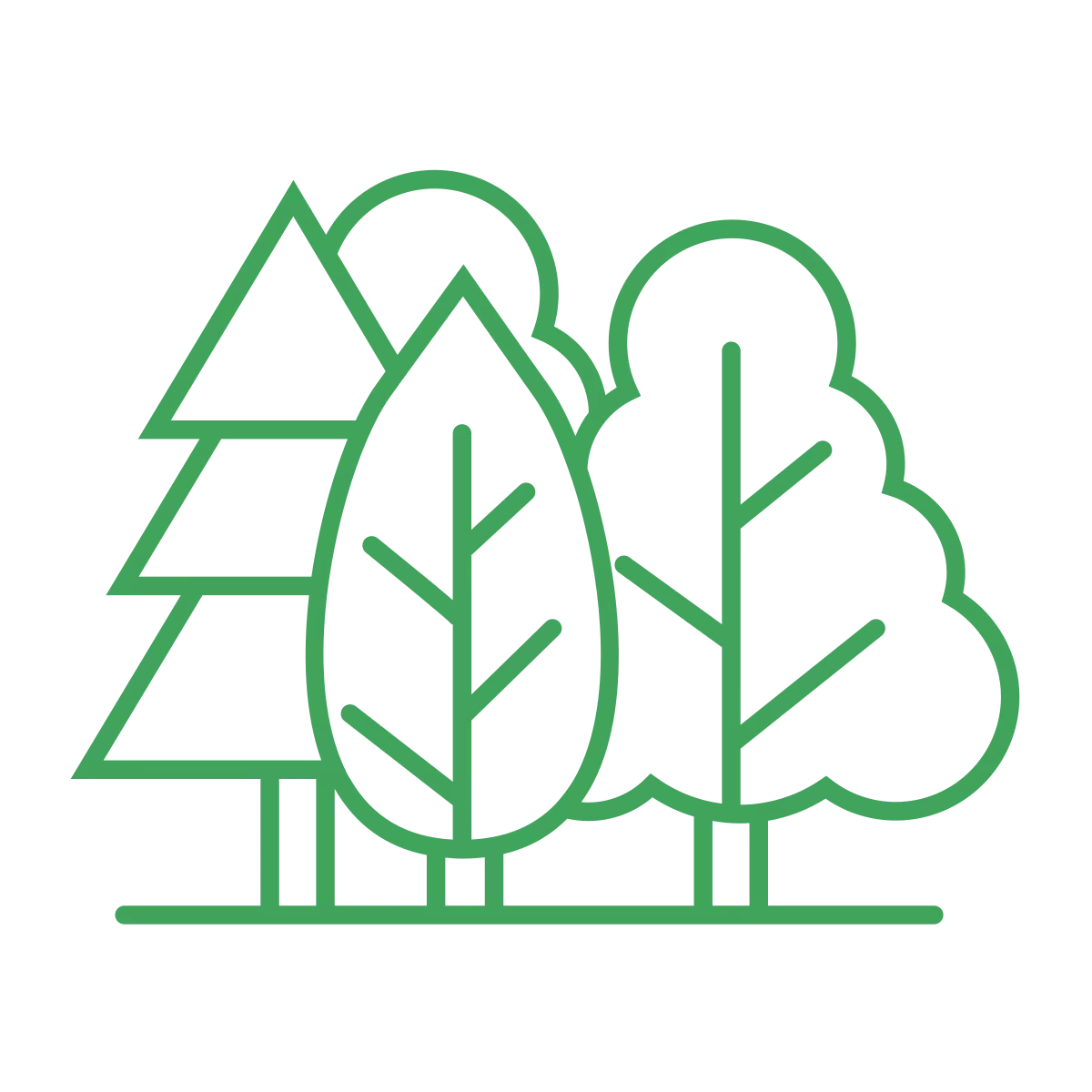 Puszcza w Świętokrzyskim Parku Narodowym