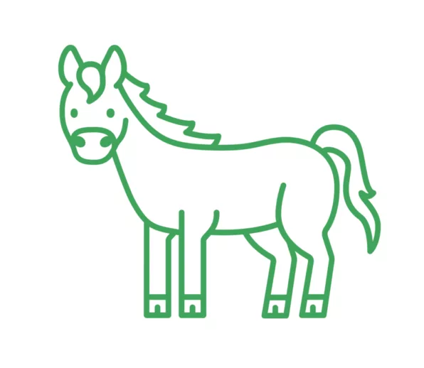 Roztoczański Park Narodowy: konik polski