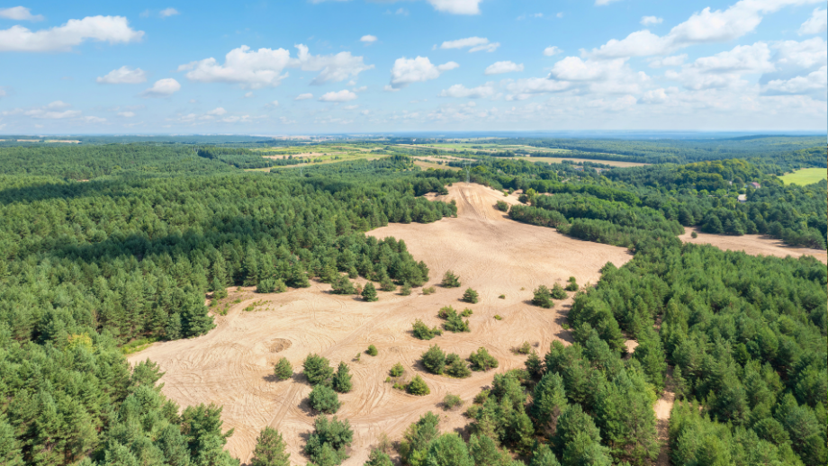 Pustynia Siedlecka 🏜️ Odkryj słoneczne atrakcje okolicy