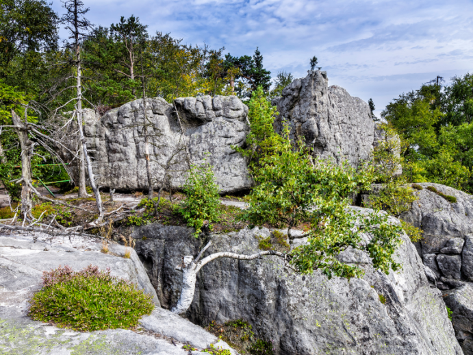 Szczeliniec Wielki - formacje skalne