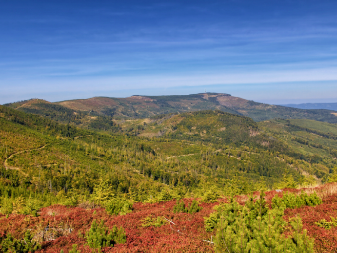 panorama na góry: Beskid Żywiecki