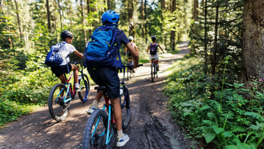 Trasy rowerowe 🚵 Przewodnik dla miłośników rowerowych przygód