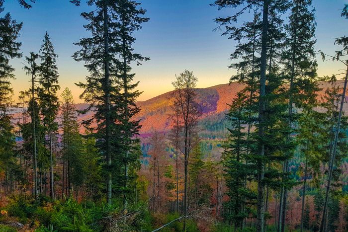 Beskid Żywiecki pasmo Babiej Góry