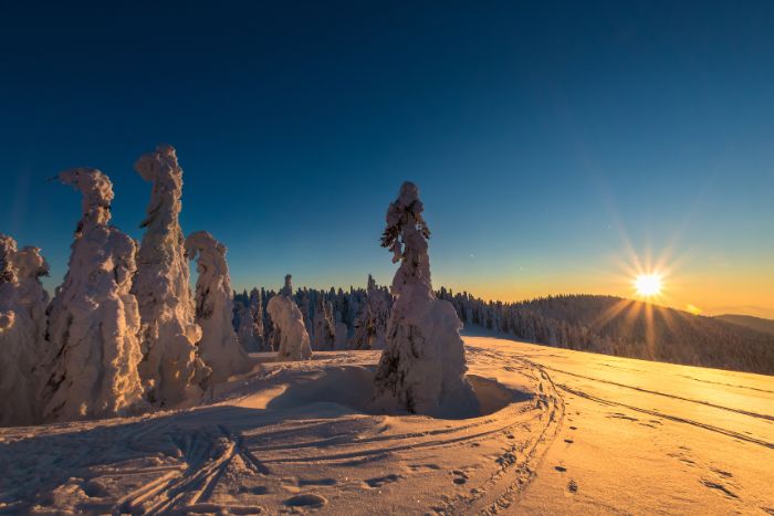 Beskid Żywiecki - Hala Rysianka