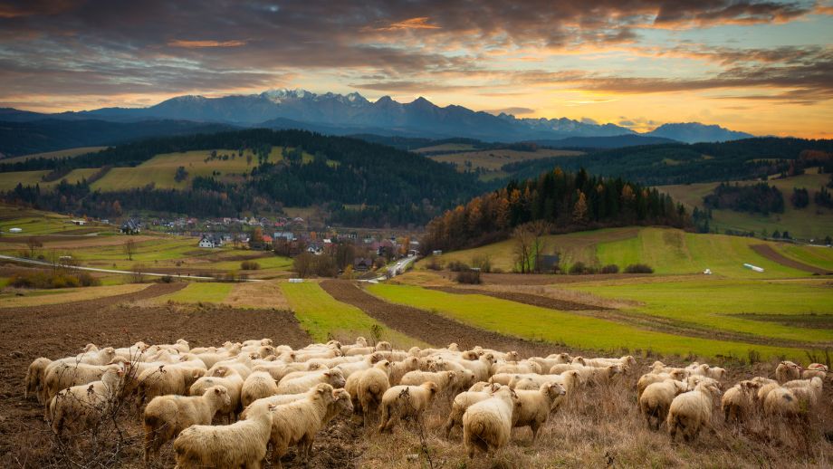 Podhale 7 wyjątkowych miejsc na relaks i przygodę pod Tatrami 🐏