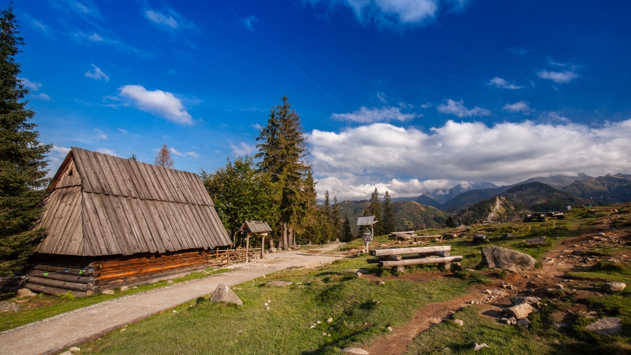 Rusinowa Polana Trasa Poznaj 5 malowniczych szlaków do odkrycia 🏞️