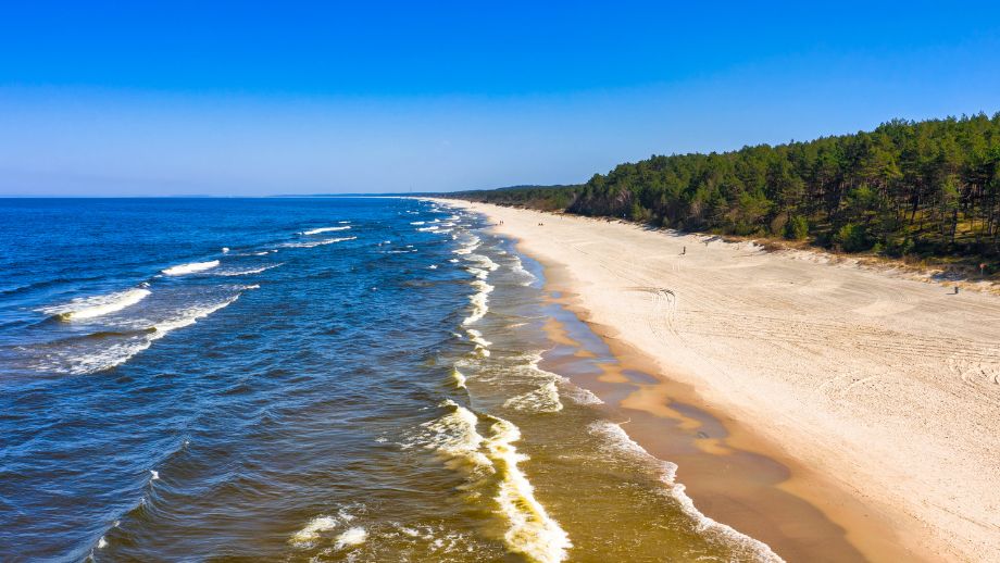 Krynica Morska Atrakcje 🌊 5 urokliwych miejsc na Mierzei Wiślanej