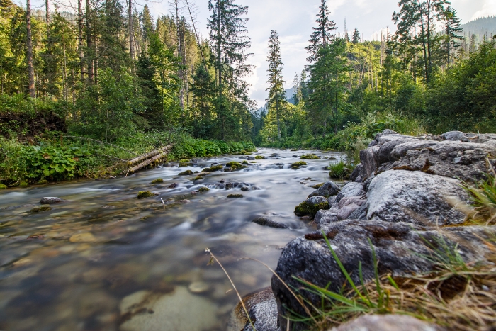 Szlaki turystyczne Zakopane