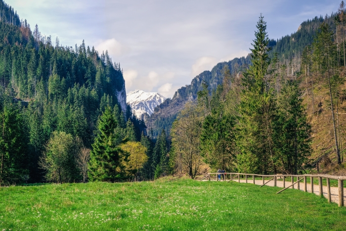 Szlaki turystyczne Zakopane: Dolina Kościeliska