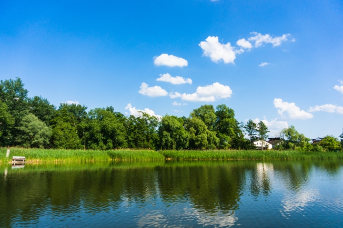 widok na Jezioro Kórnickie