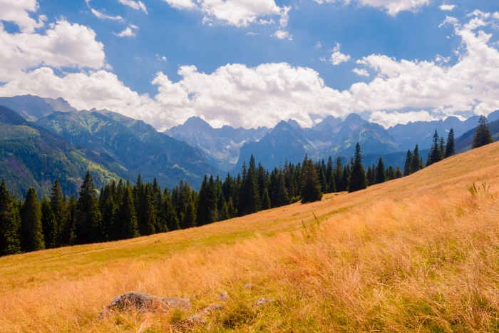 szlaki turystyczne Zakopane