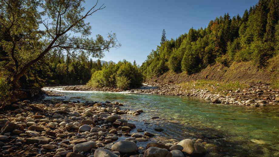 Dolina Białego 🏞️7 najpiękniejszych szlaków i atrakcji