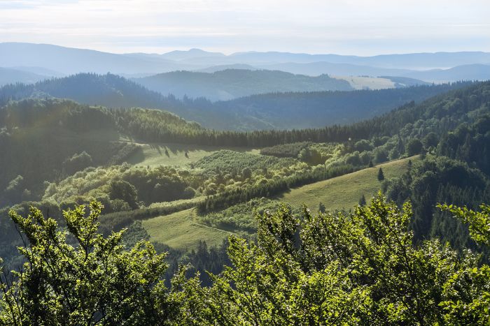 Beskid Sądecki - widok z Pienin, szczyt Wysoka