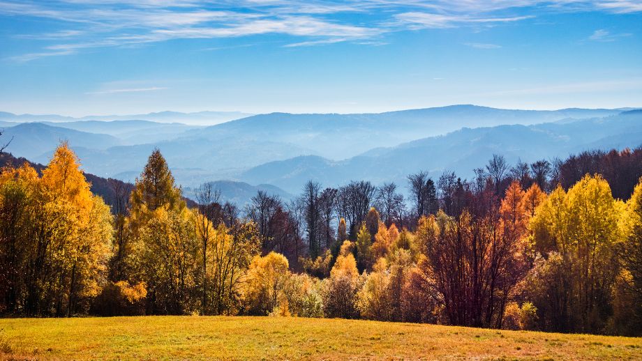 Beskid Sądecki 🗻 Przewodnik po wyjątkowych miejscach na Sądecczyźnie