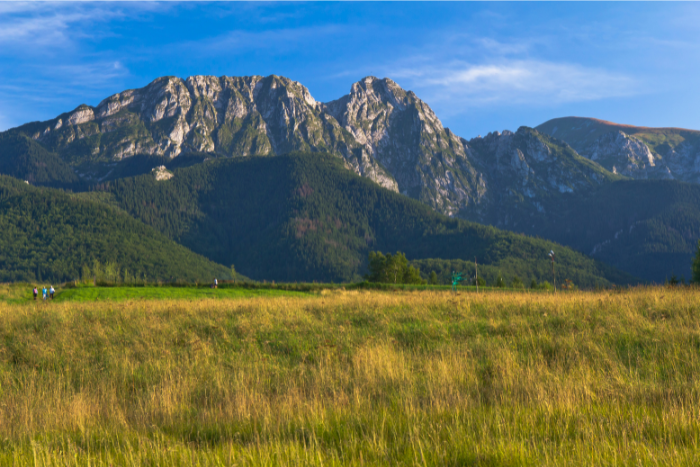 Dolina Małej Łąki - widok na Giewont z oddali