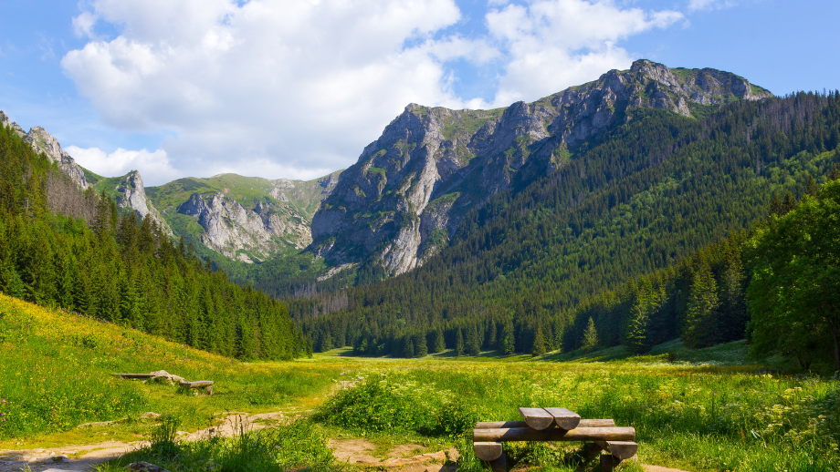 Dolina Małej Łąki Poznaj spokojny zakątek Tatr Zachodnich ⛰️