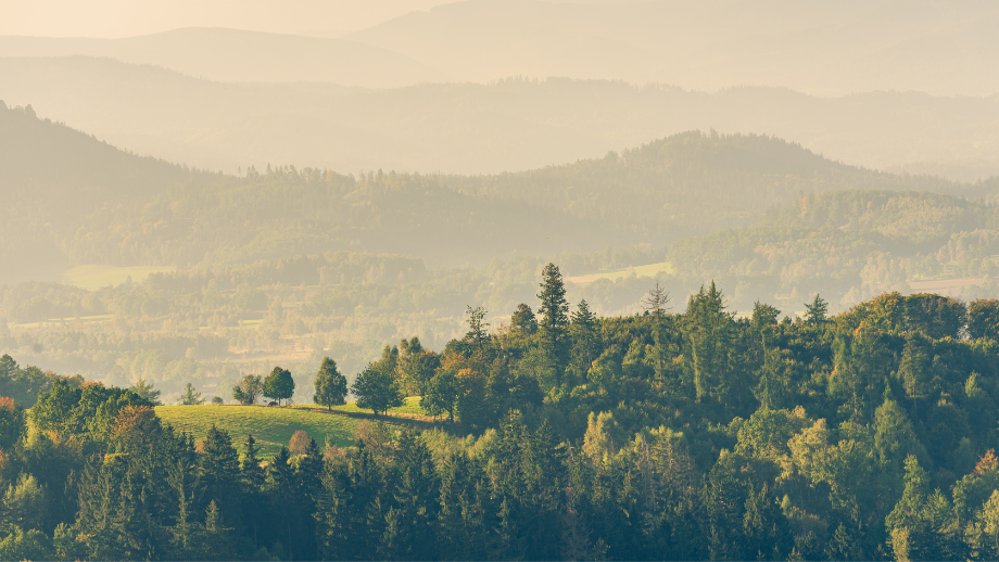 Góry KaczawskieOdwiedź polską Krainę Wygasłych Wulkanów 🗻