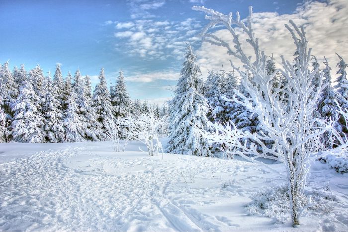 Hala Miziowa: Beskid Żywiecki zimą