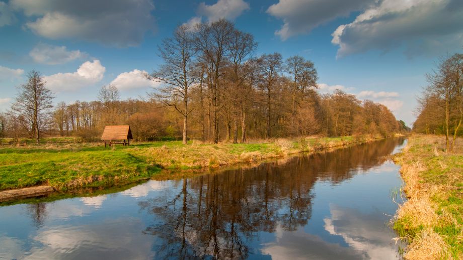 Kampinoski Park Narodowy Przewodnik po dzikiej przyrodzie i historii Kampinosu 🫎