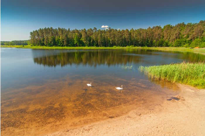 Zwierzyniec atrakcje - stawy Echo