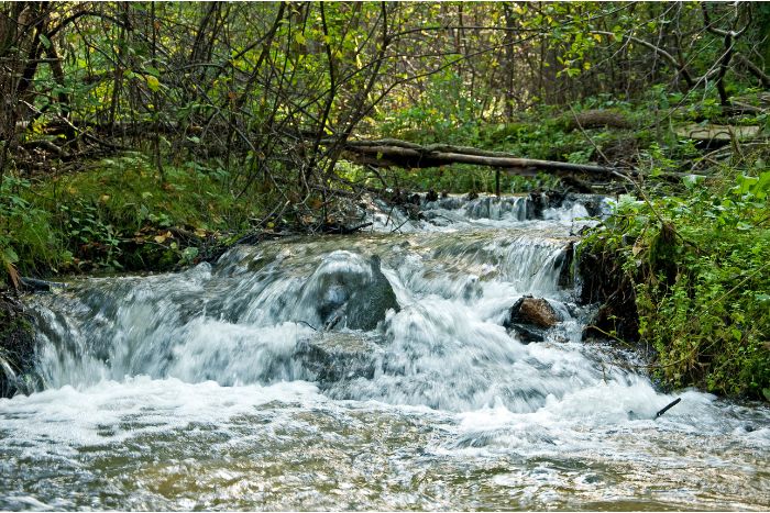 Zwierzyniec - Roztoczański Park Narodowy
