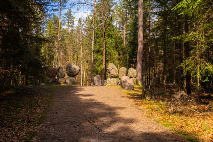 Zwierzyniec atrakcje - Bukowa Góra