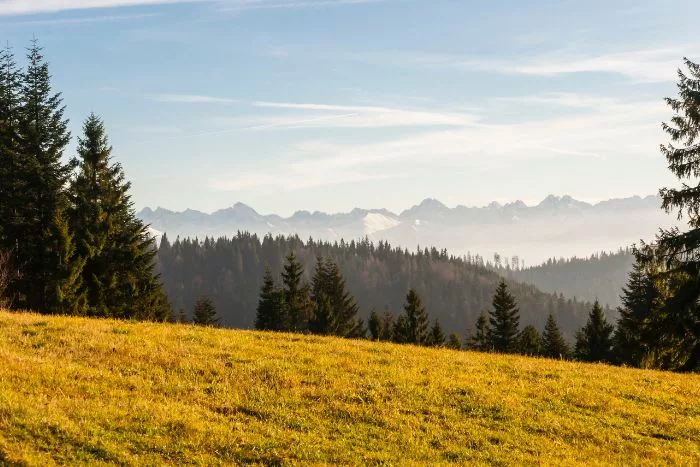 Gorczański Park Narodowy - widok na Tatry