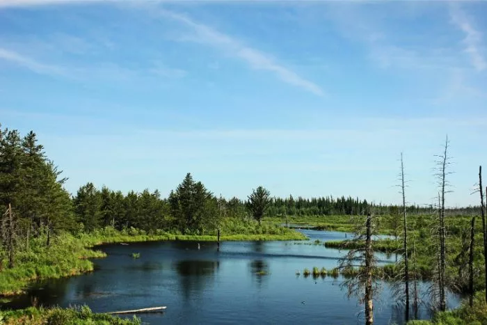 Spiętrzona rzeka Bóbr tworzy Jezioro Modre